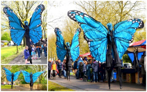 Blauwe vlinders zotte zondag
